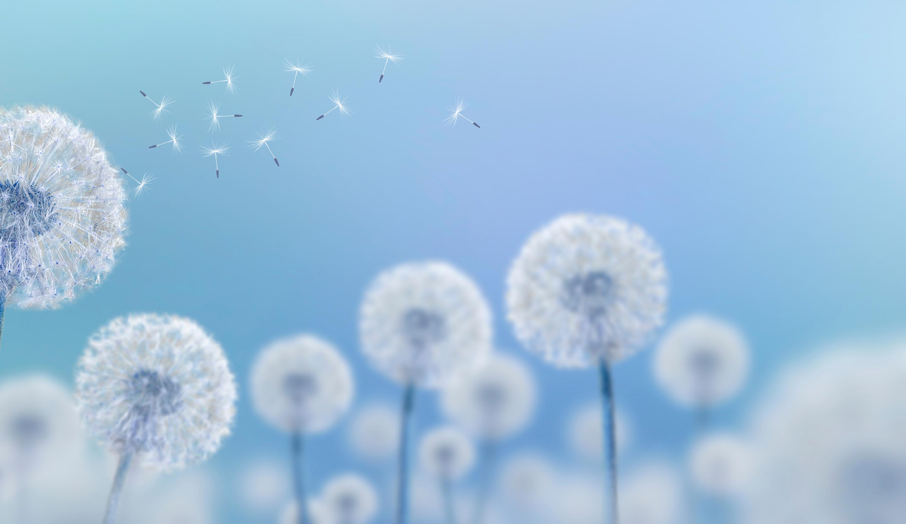 東松山かけはし薬局のメインビジュアル3